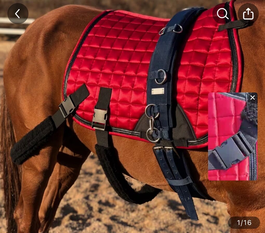 Saddle Pad