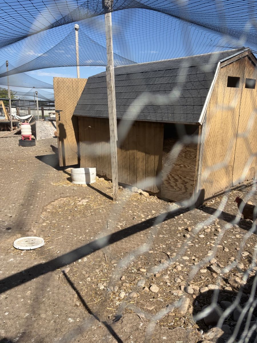 Shed