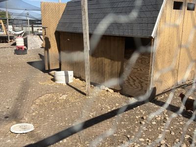 Shed