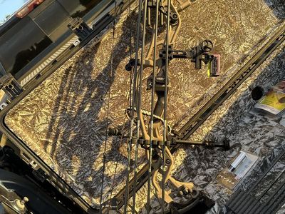 Hoyt RX-1