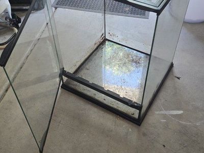 Glass Terrarium - Large Reptile/Amphibian Enclosure