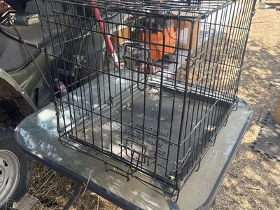 Black Folding Wire Dog Crate with Removable Tray
