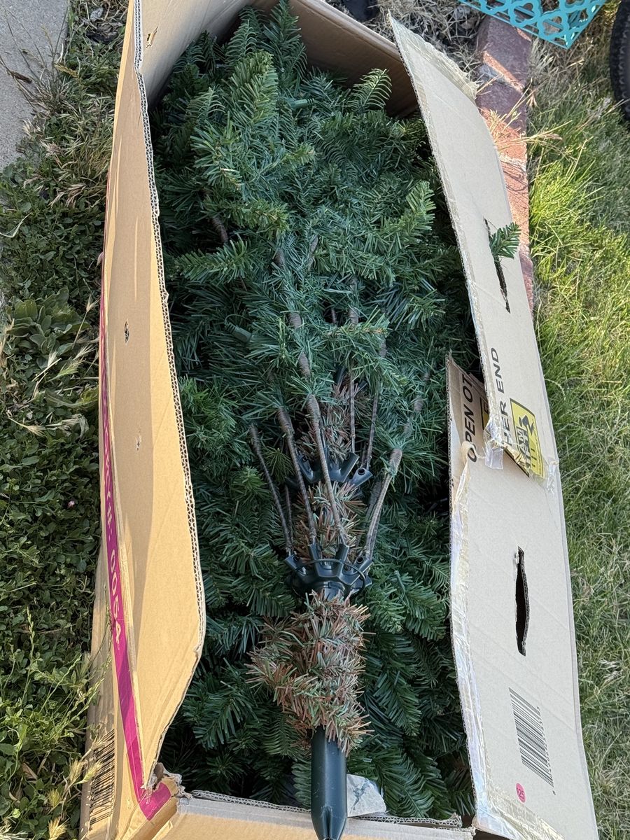 Main image 7