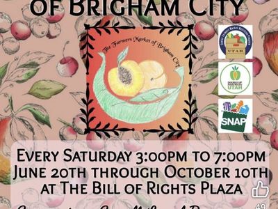 brigham city farmers market. Debbie's Designs will be a vendor here along with many more vendors aIt least 30 starts at 3 to 7