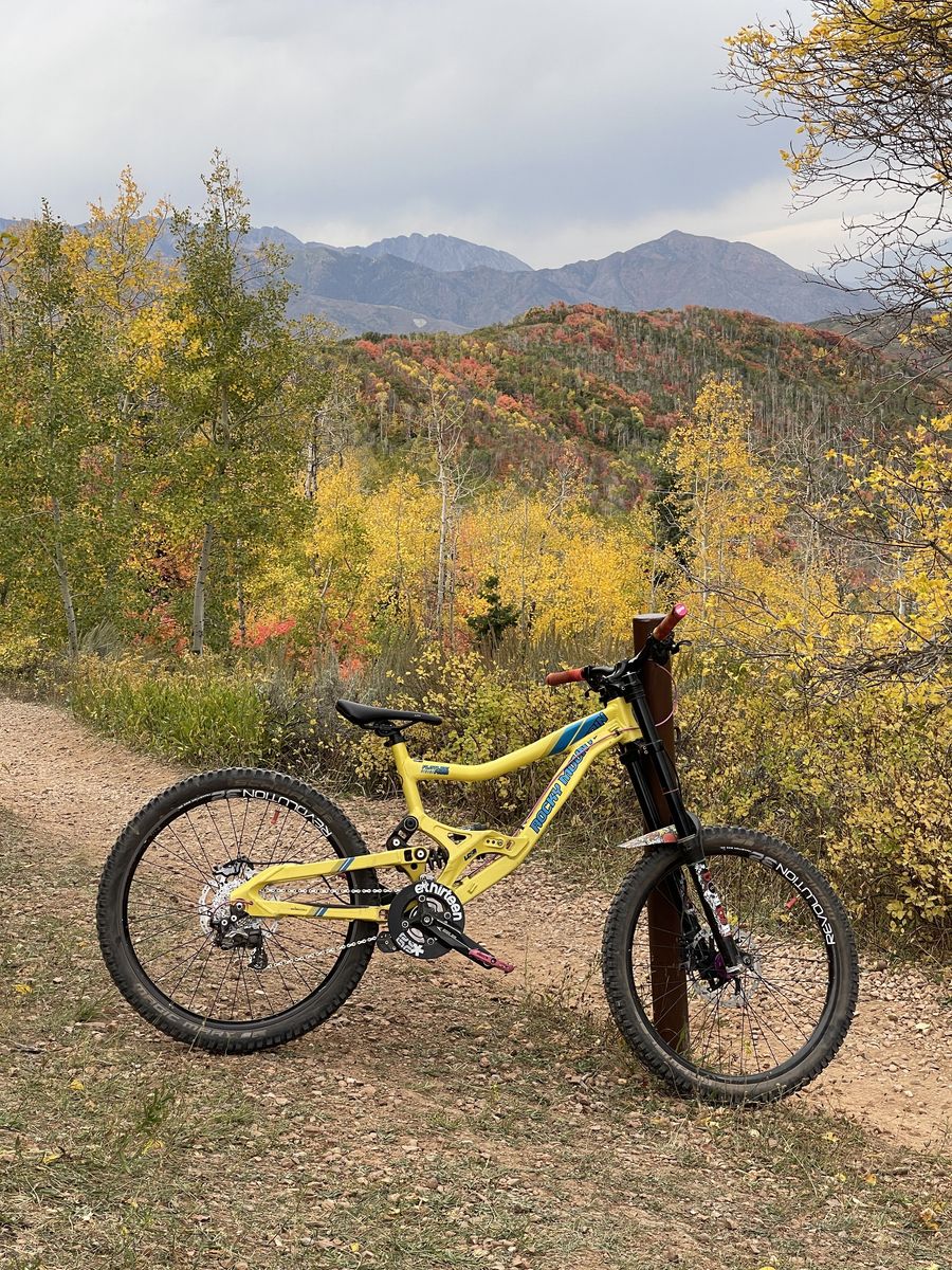 Rocky Mountain Flatline Pro downhill bike
