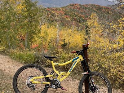 Rocky Mountain Flatline Pro downhill bike