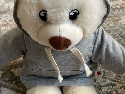 Adorable cream build a bear with gray hoodie