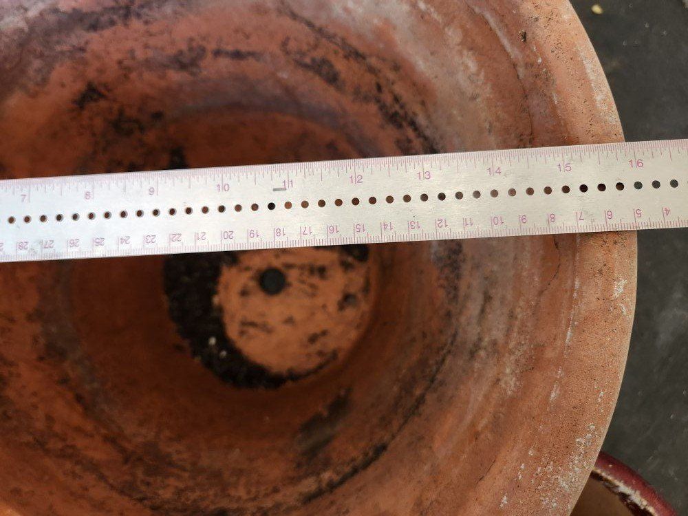 Main image 4