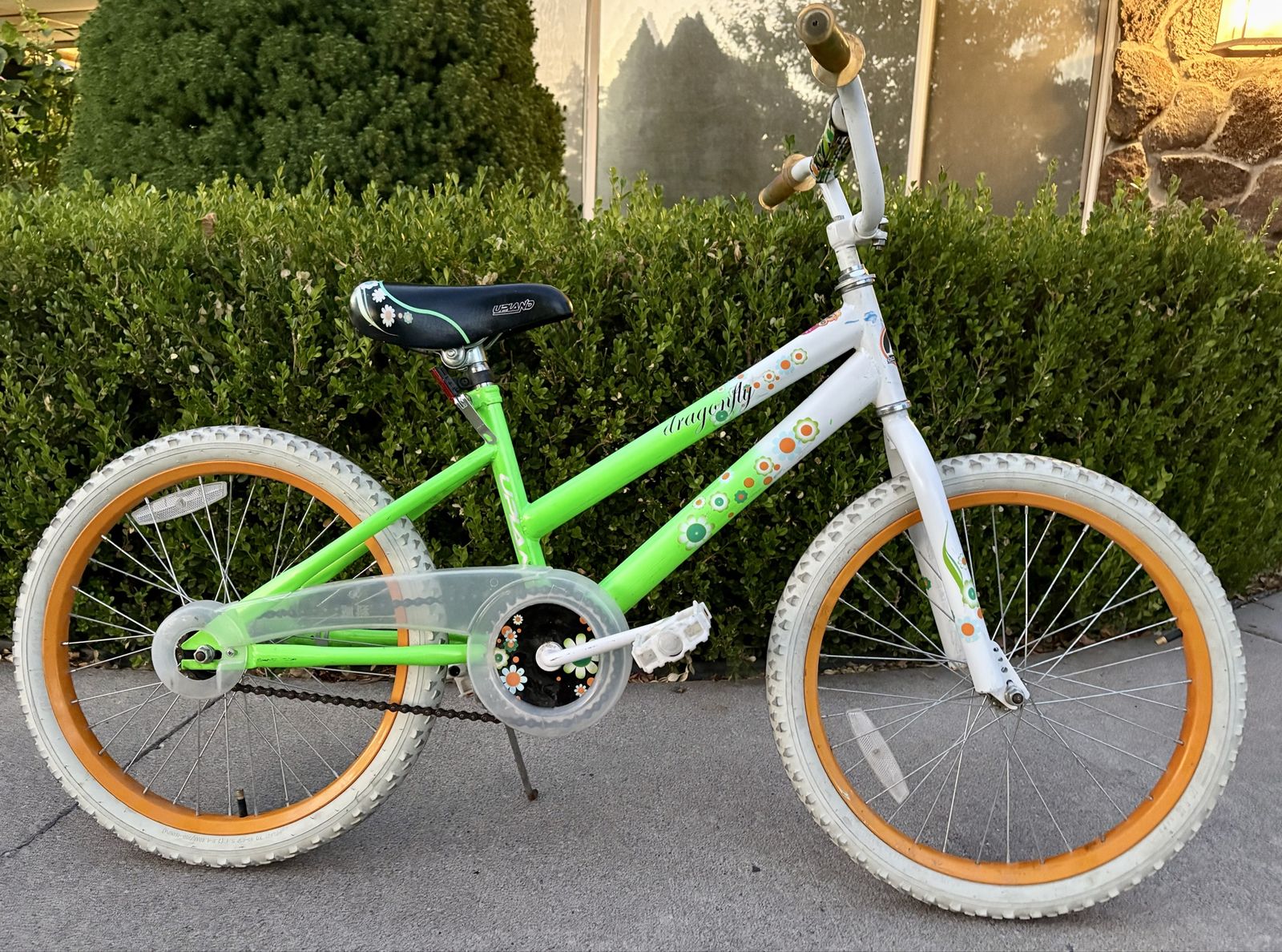 20” Dragonfly Bike ready To Ride