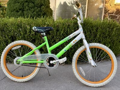 20” Dragonfly Bike ready To Ride
