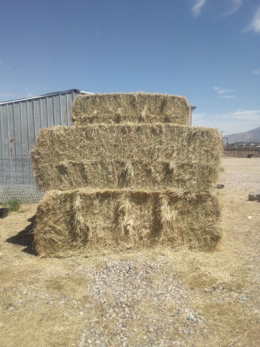 3 way hay  3x3x8