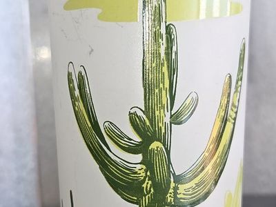 Pair of "Saguaro" 1950s/1960s Blakely Oil & Gas "Arizona Cactus frosted glasses