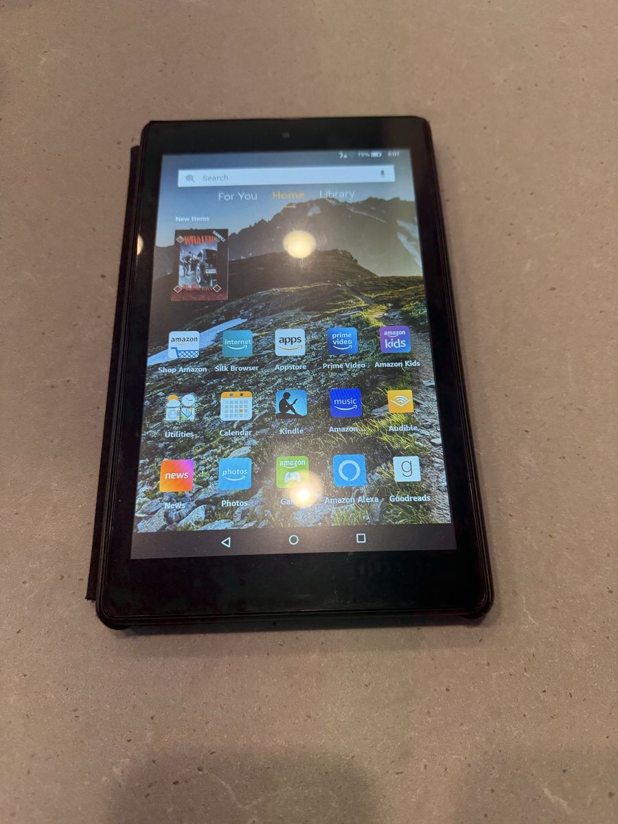 Fire Kindle