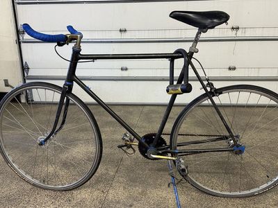 FREE custom Schwinn single speed conversion