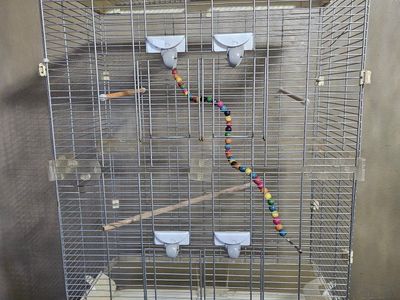 Large Vision Bird Cage