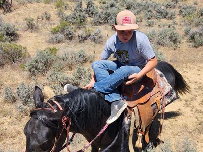 > Nice 4 year Old Family Mare