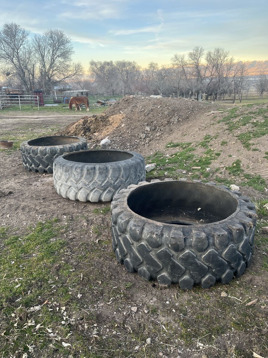 Horse Tire Feeders