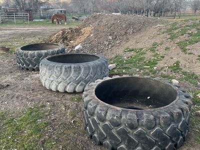 Horse Tire Feeders