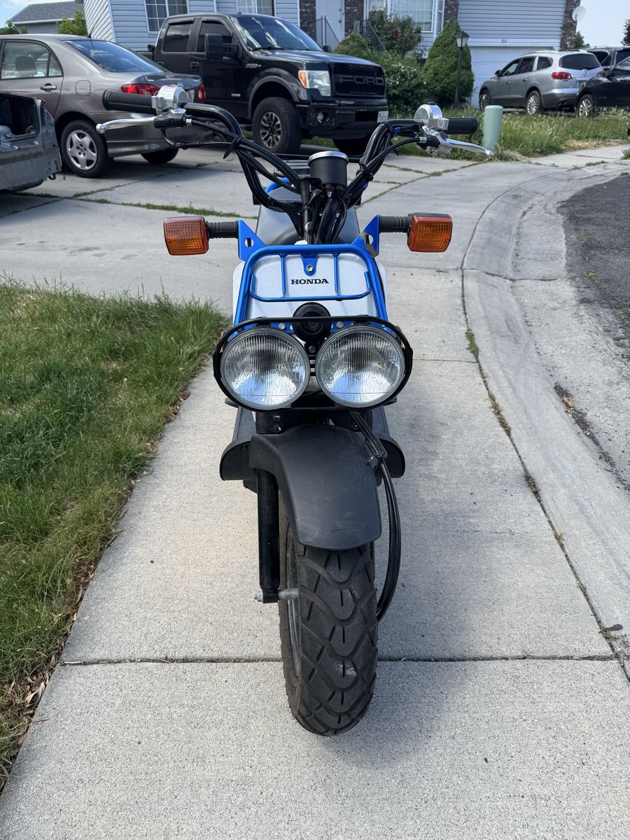 2022 Honda Ruckus