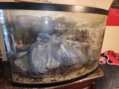 43 gallon fish tank \ 30.5"W x 15.5" D x 21"H