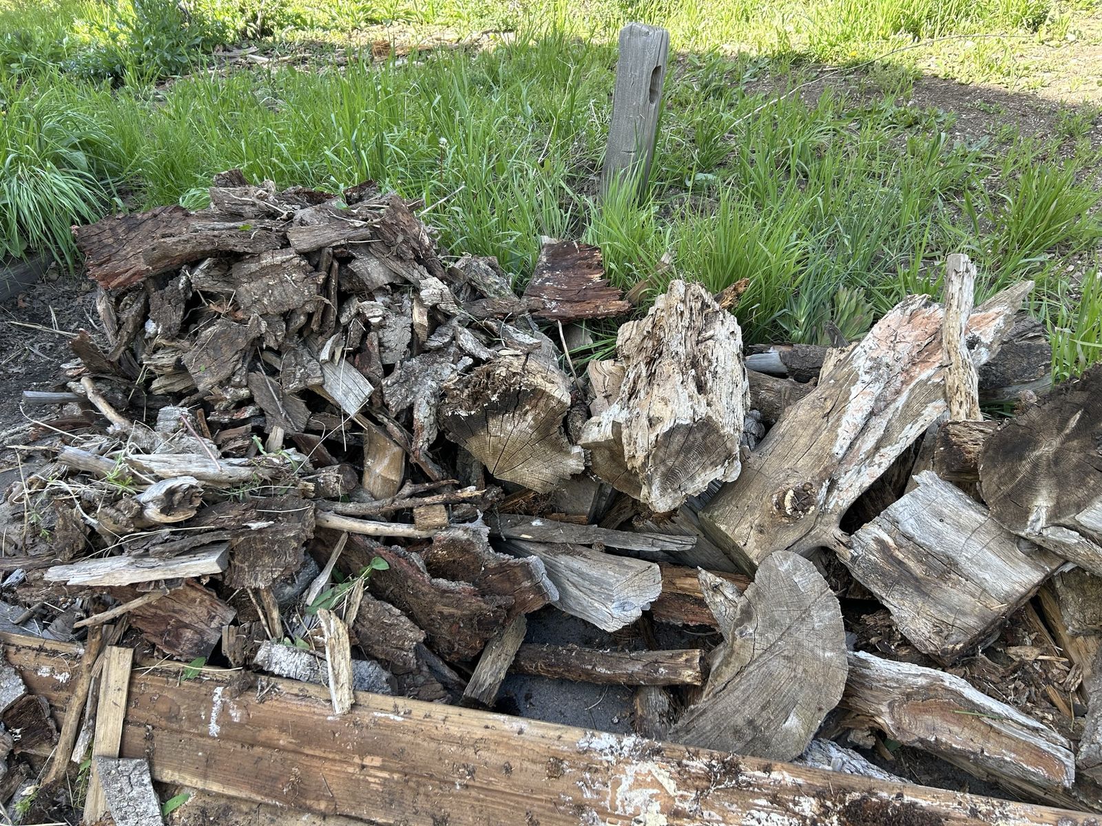 Main image 7