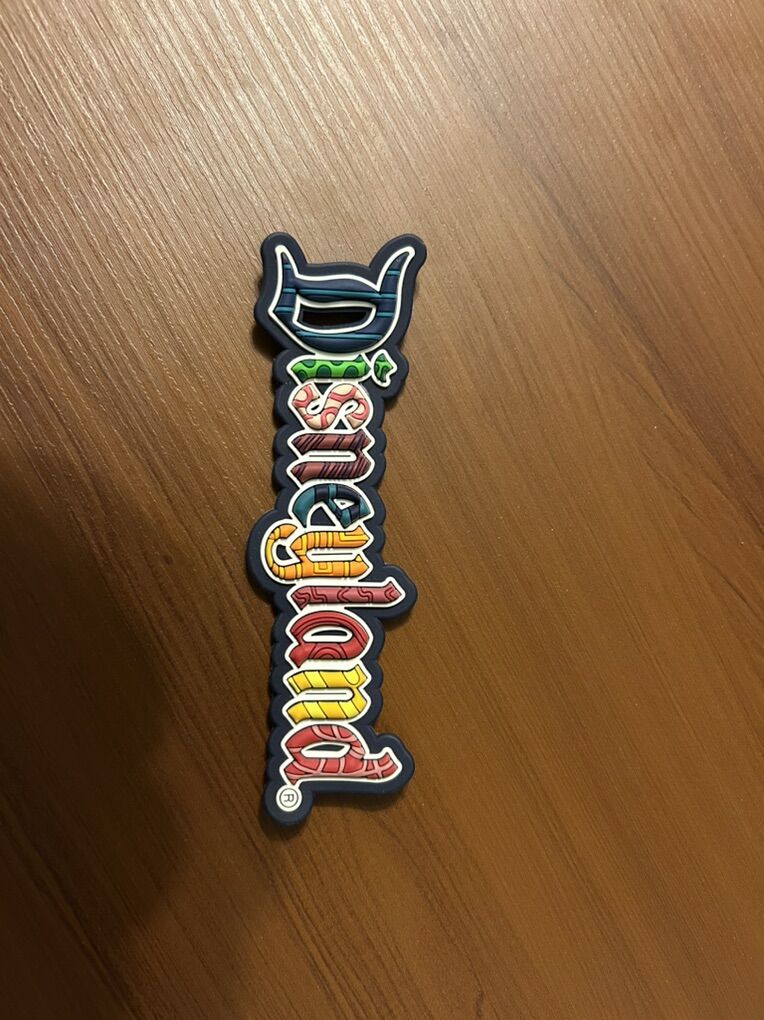 Disneyland Magnet