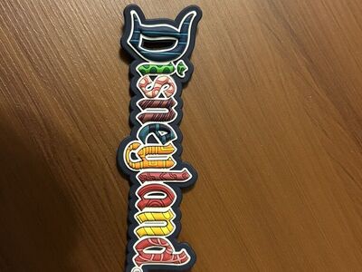 Disneyland Magnet