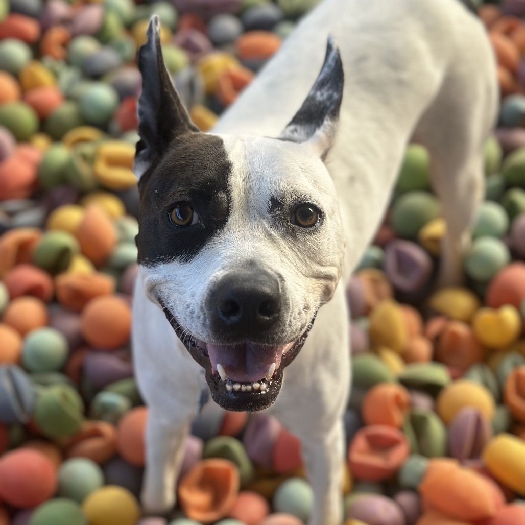 Hello my name is Bree