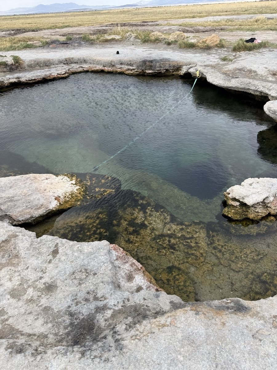 Main image 11