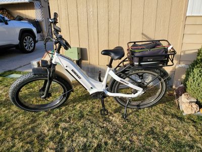 E-bike Fat tire Himiway Zebra