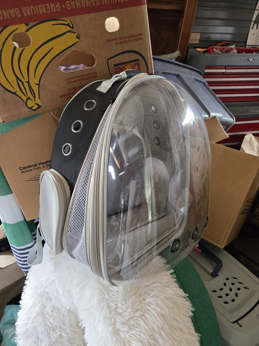 Cat Bubble Backpack