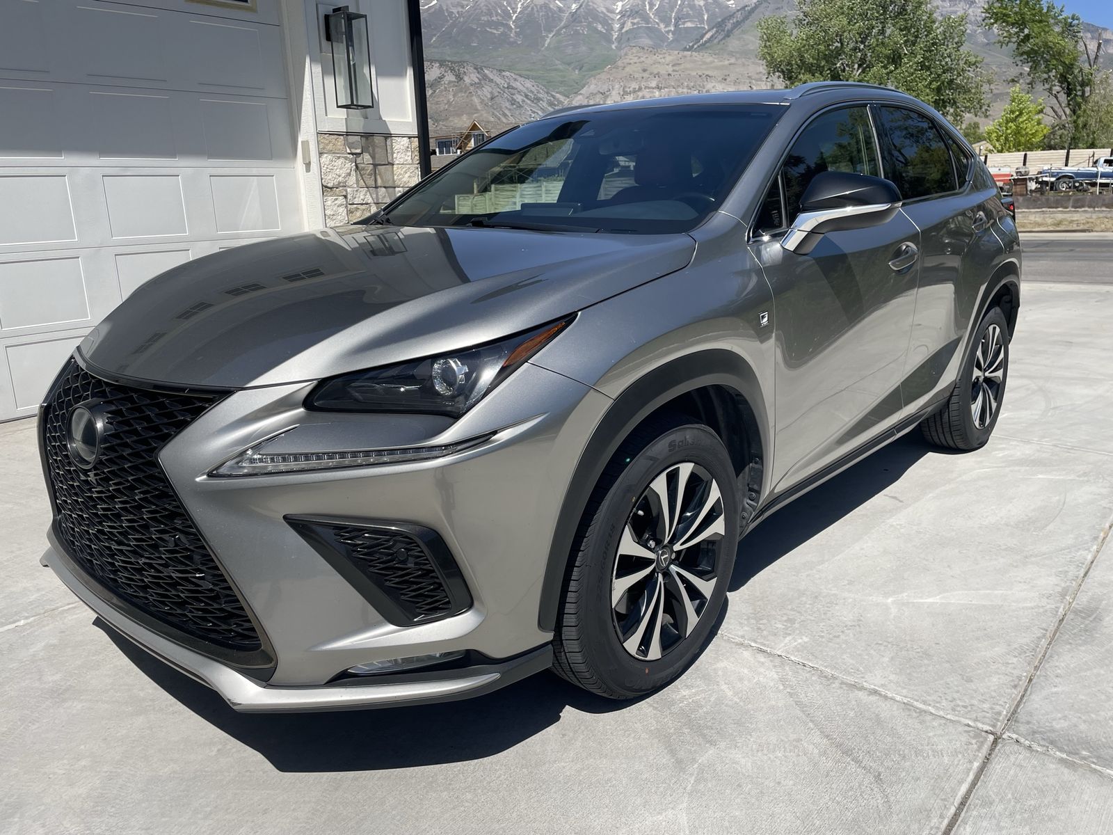 2019 Lexus NX 300 F SPORT