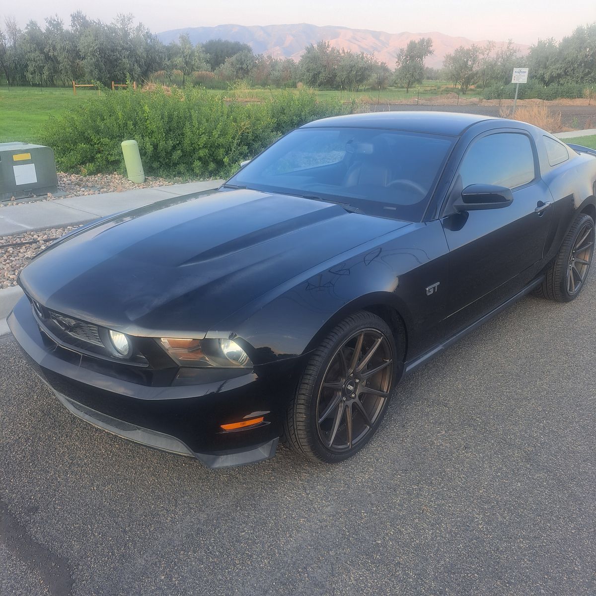 2010 Ford Mustang GT