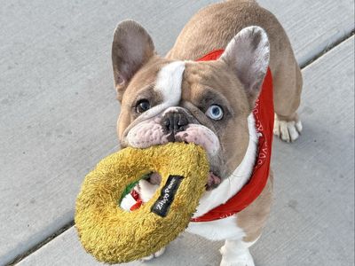 Busco Novia- I'm looking for a girlfriend