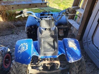 Yamaha Badger 80cc