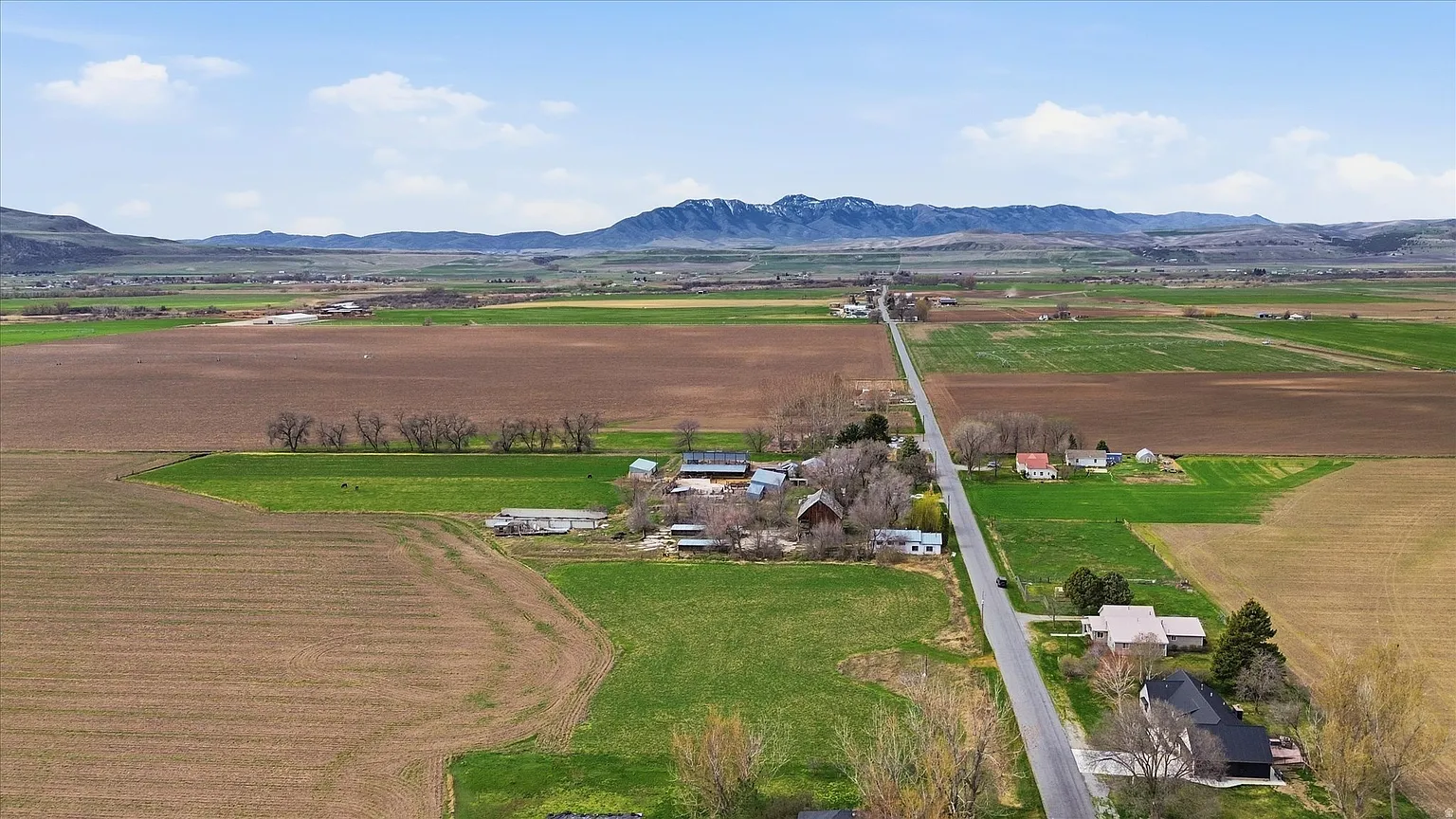 Main image 3