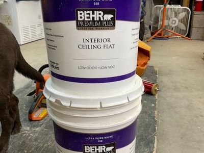 Behr Premium Plus interior ceiling paint