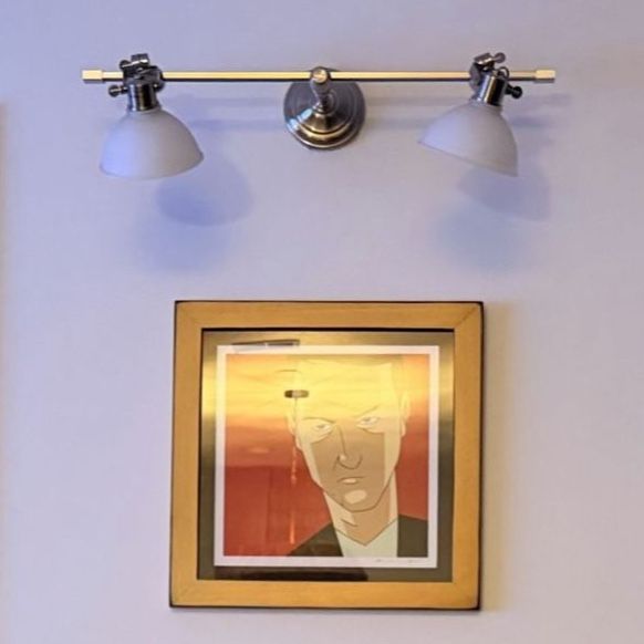 Pro Track Elm Park - Pair of Brushed Nickel Adjustable Track Vanity/Art Lights with Frosted Glass Shades