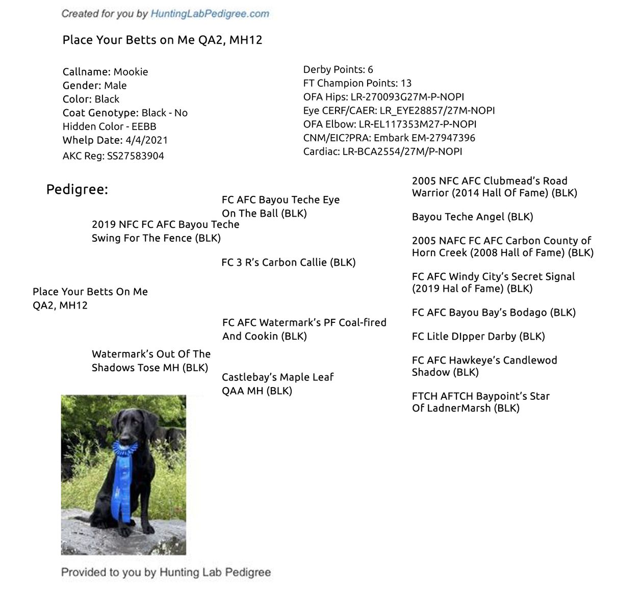 Main image 29