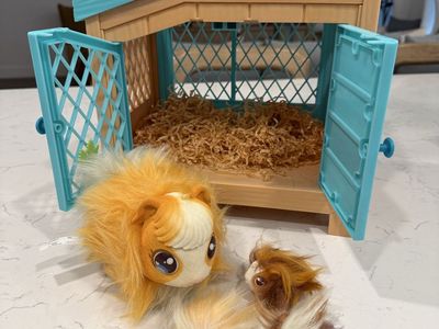 Little Live Pets Mama Guinea Pig House Playset with Babies