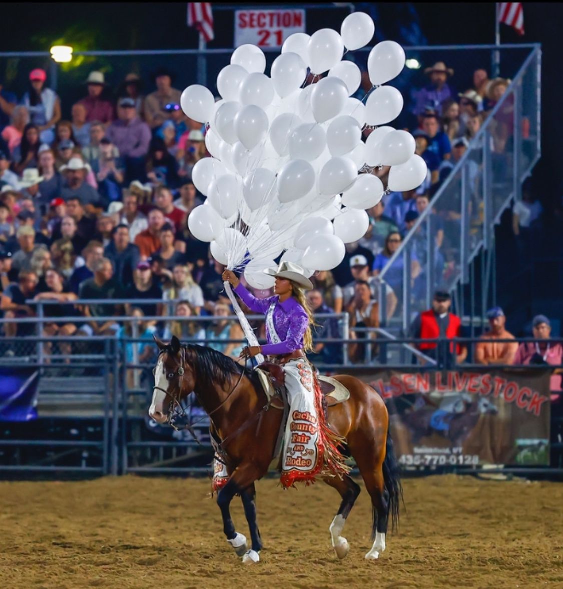 Reining/ Rope horse Gunners Special night
