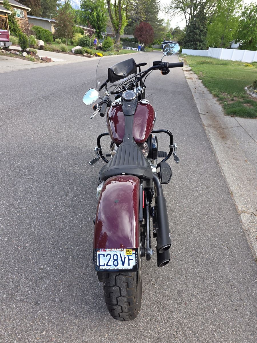 2020 Harley Davidson Slim