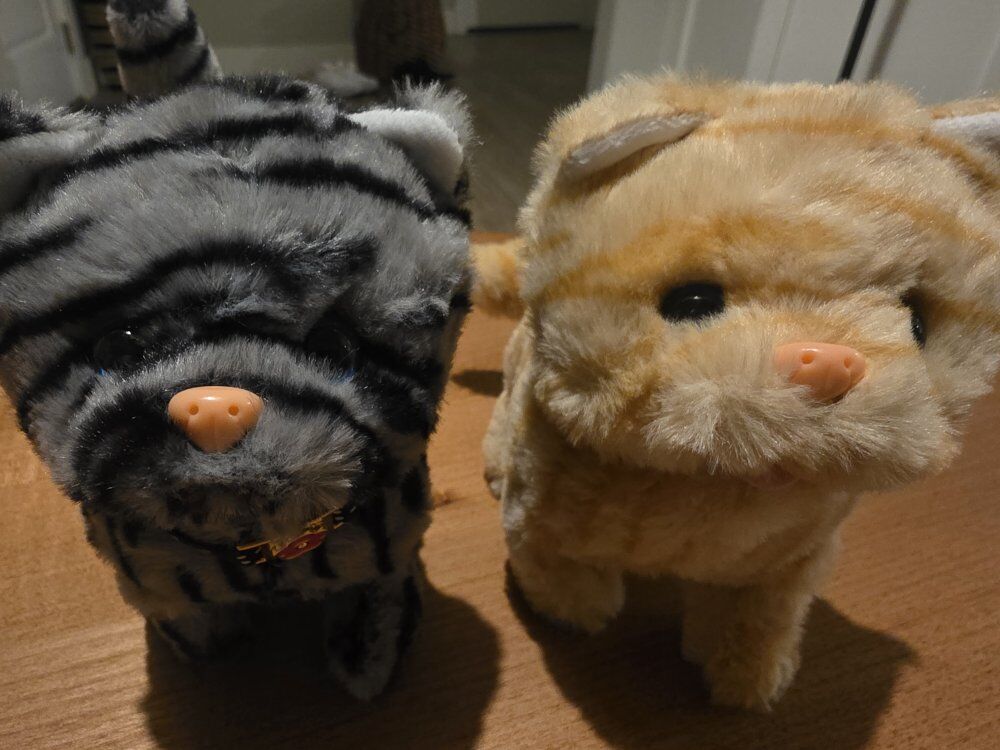 Soft Little Robot Kittens