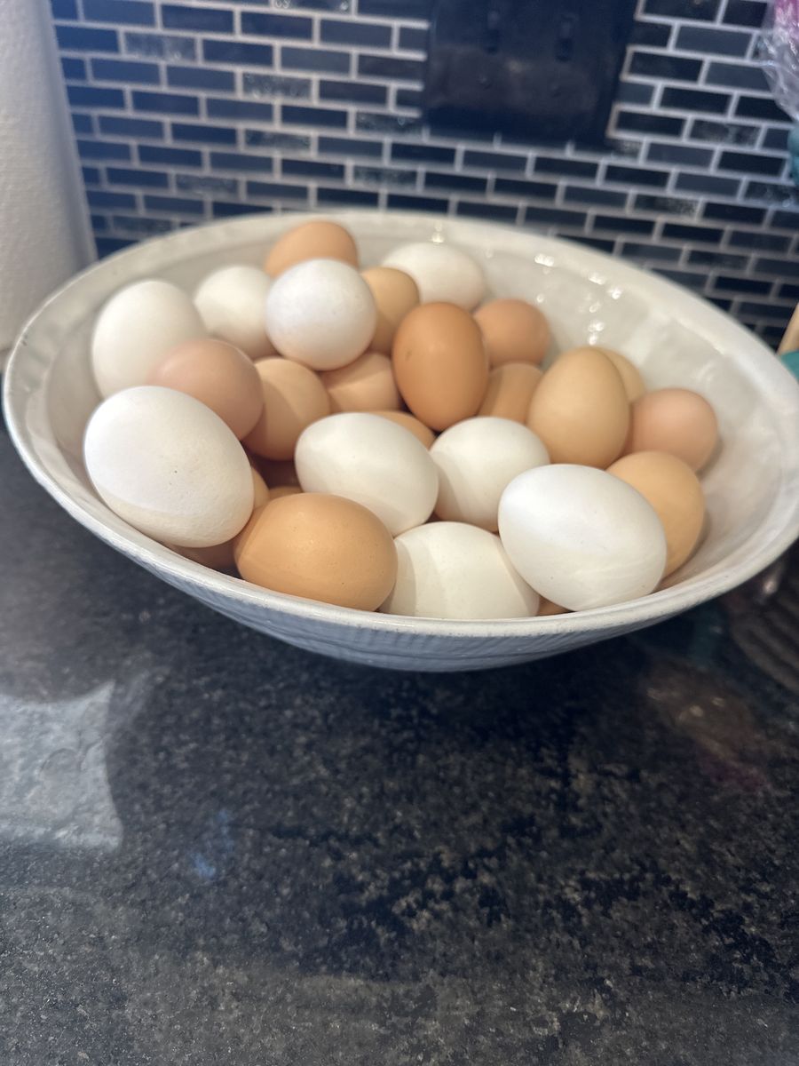 Farm fresh eggs