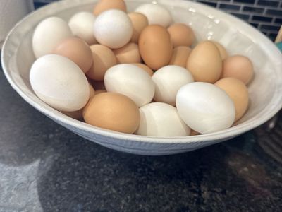 Farm fresh eggs