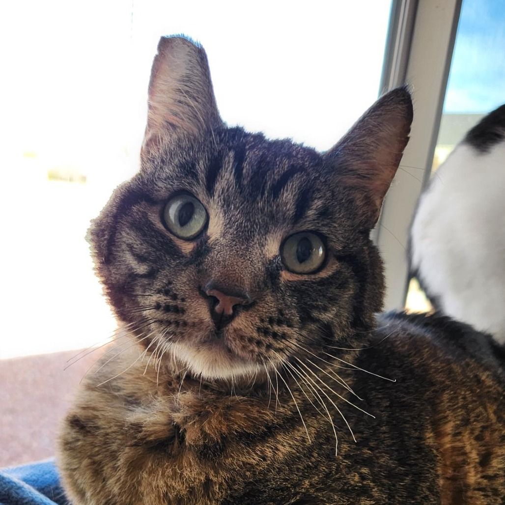 Hello my name is Reed