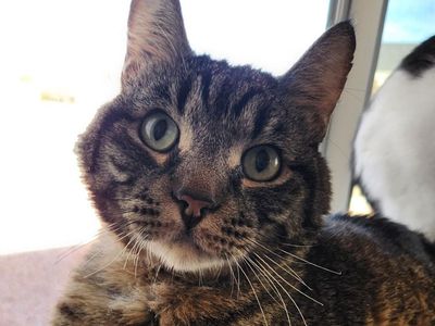 Hello my name is Reed