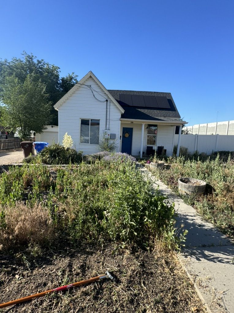 Weeds Remove Yard Clean Up Mowing Great Prices