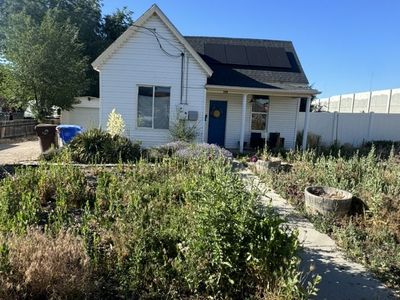 Weeds Remove Yard Clean Up Mowing Great Prices