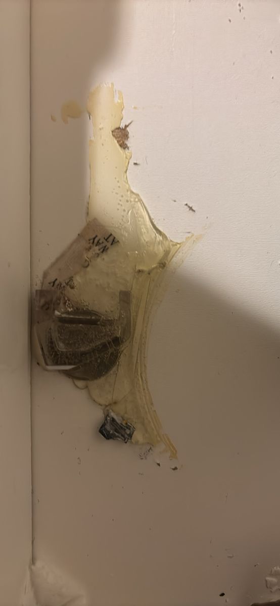 Main image 6
